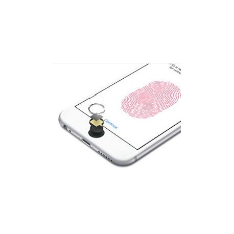 Reparar Touch ID / Home iPhone Servicio técnico Madrid y Pozuelo Alarcón