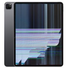 Pantalla iPad Pro 11" 2ª Generacion 2020