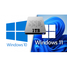 Disco SSD 1TB + Windows 10 / Win 11