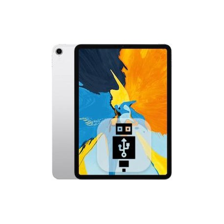 Cambio Conector carga Pad Pro 11"